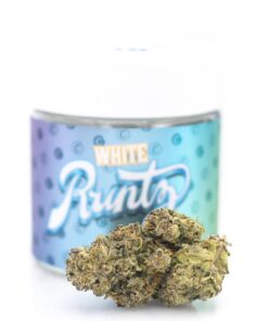 Buy White Runtz Online