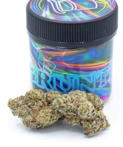 Buy Gruntz online