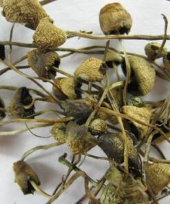 Liberty Caps
