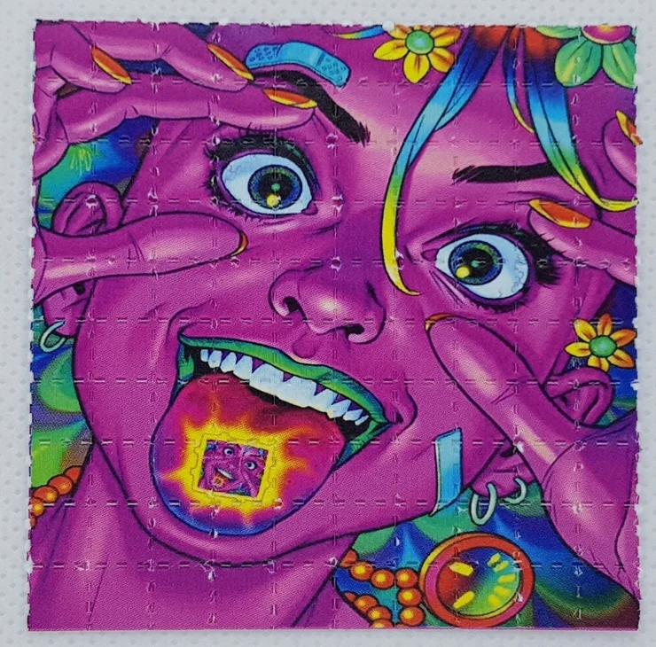 acid-girl-mini-blotter-art-blotter-store-78181_740x