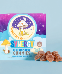 Mushroom Blend Gummies - Synergy
