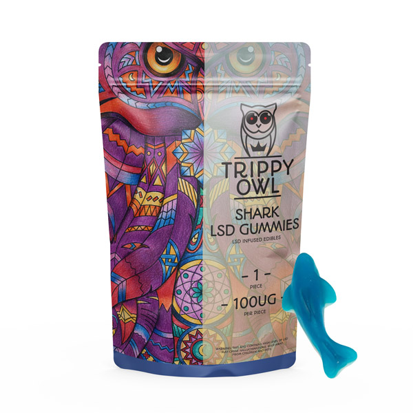 trippy-owl-LSD-shark.jpeg